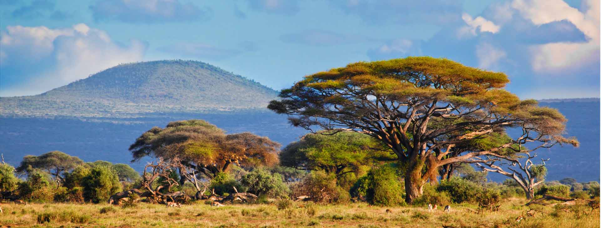 Kenia - Nocne łowy i przygoda w Samburu 14 dni