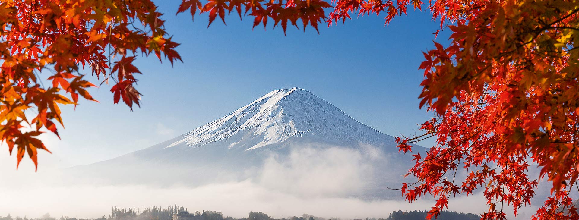 Japonia - w krainie gejsz i samurajów de luxe