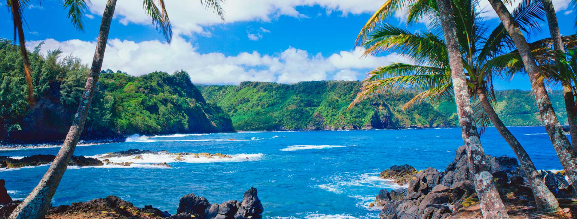 Aloha Hawaje